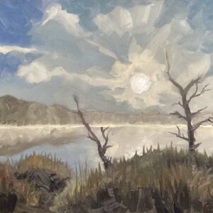 Morning Fog on Valentine